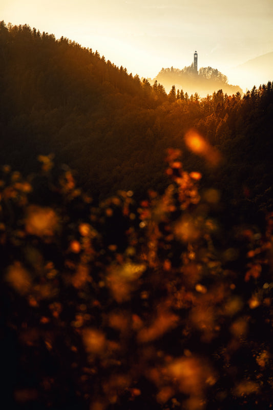 Andrea Butti x Wonderlake Como | Brunate 2