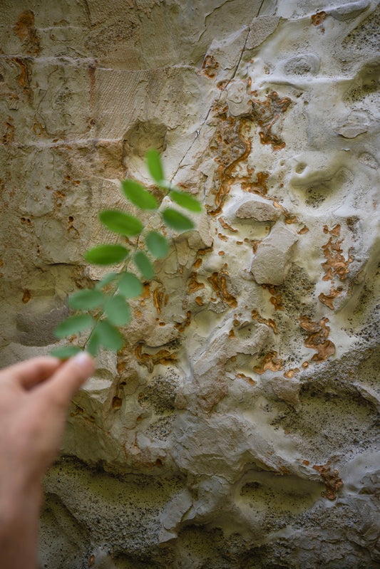 Nicola Biagetti x Wonderlake Como | Cava di Camerlata 3