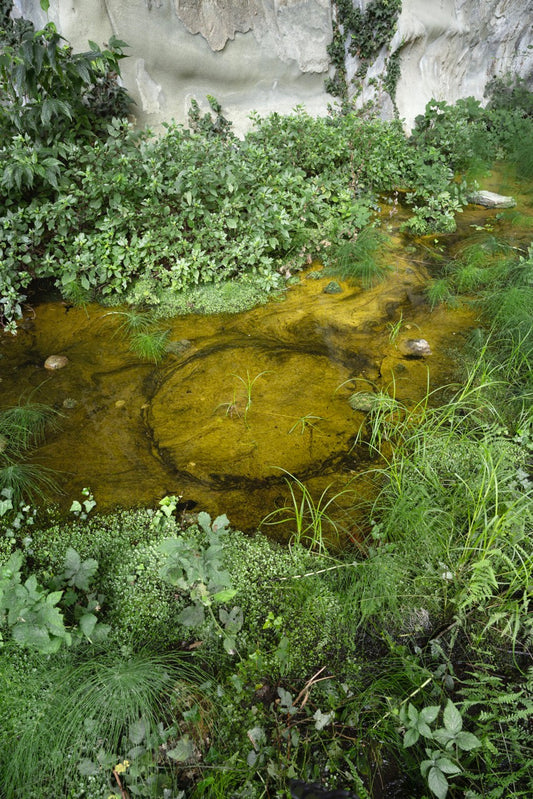 Nicola Biagetti x Wonderlake Como | Cava di Camerlata 2
