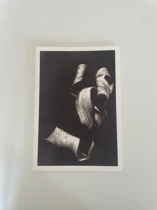 Naturalis Historia Mario De Biasi